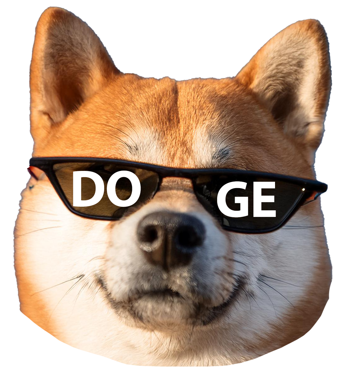 doge it